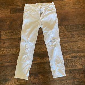 AMERICAN EAGLE CAPRIS